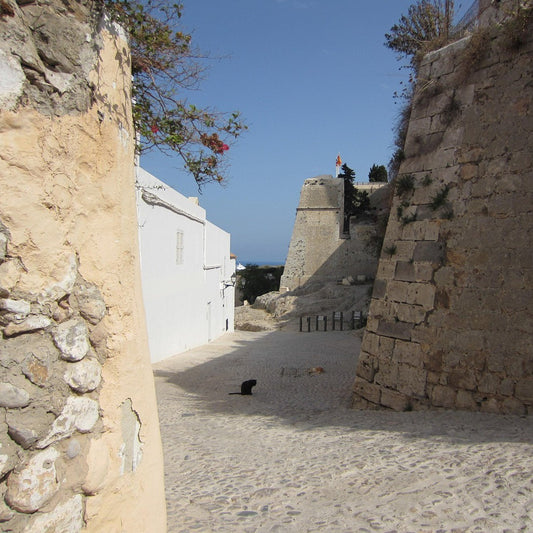 Descubre los mejores rincones de Ibiza para visitar con niños
