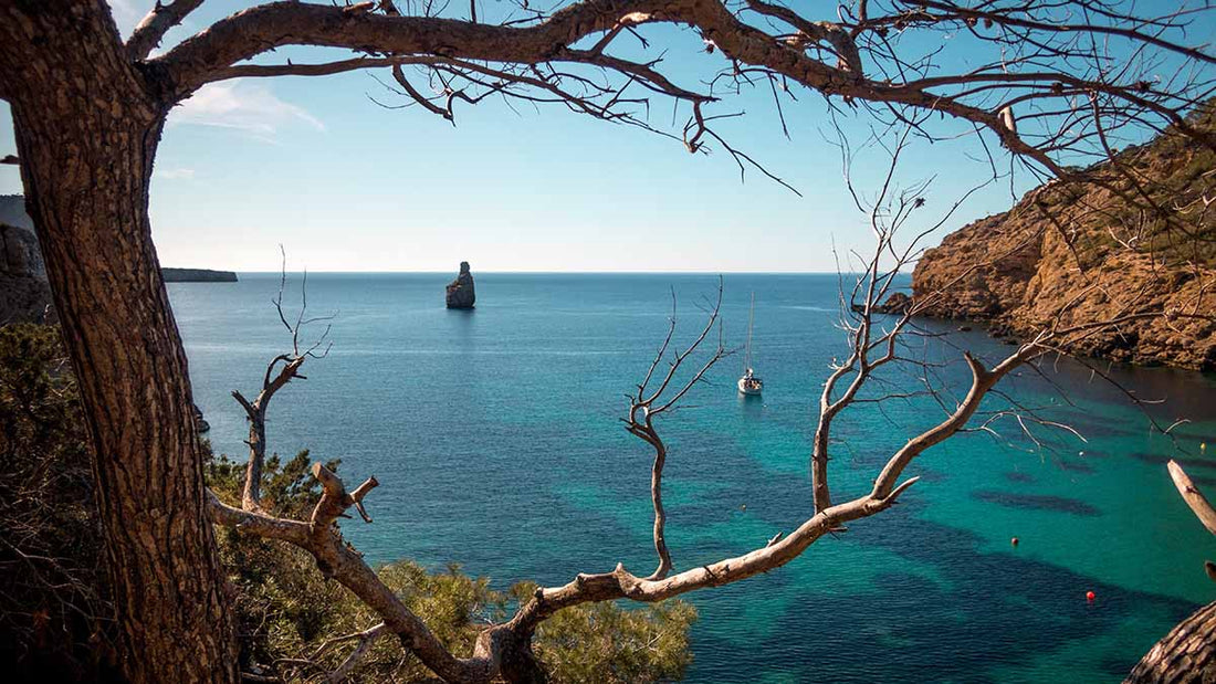Qué hacer en Ibiza en agosto con niños: planes inolvidables en familia